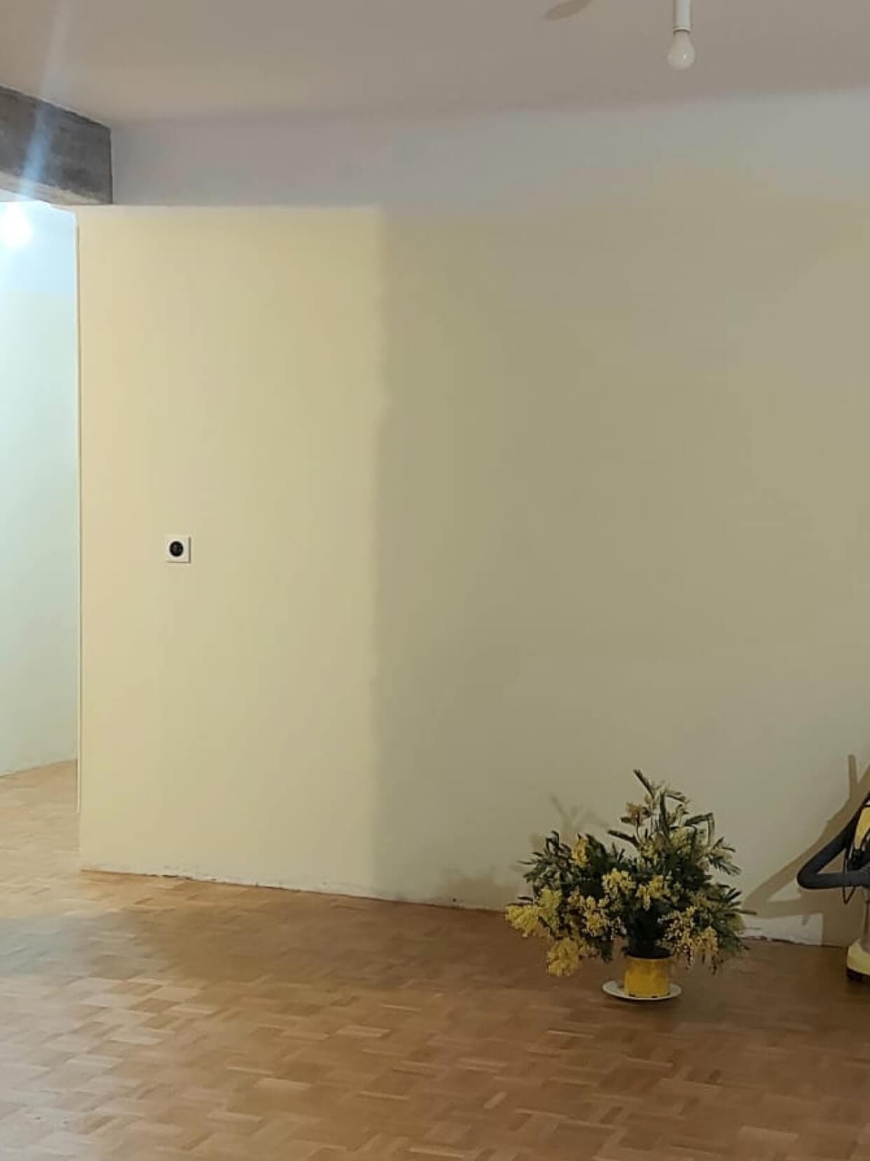 Inès painted the walls of her home in various colors.